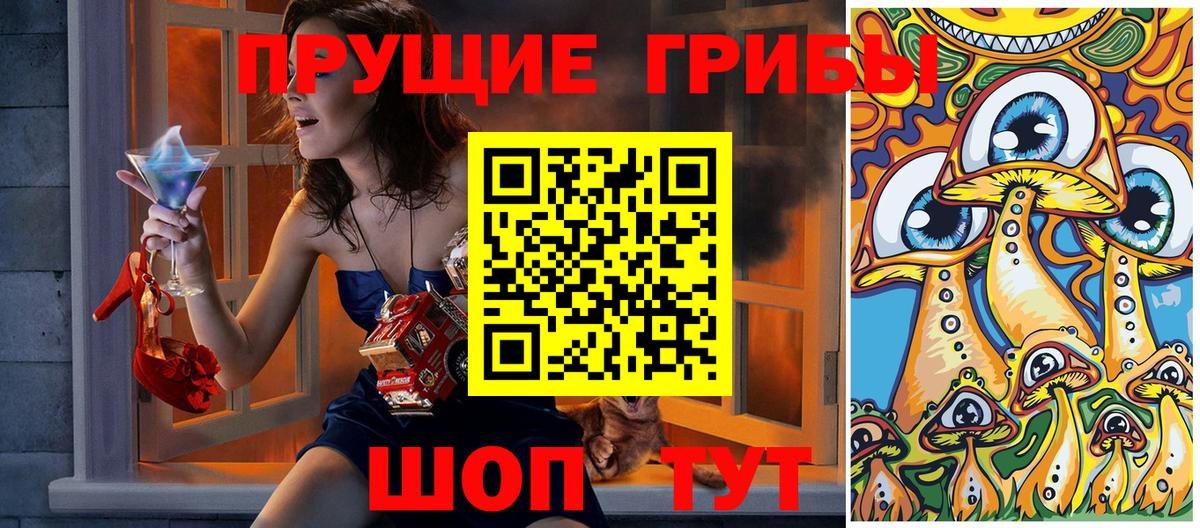 Галлюциногенные грибы Psilocybine cubensis Дзержинский