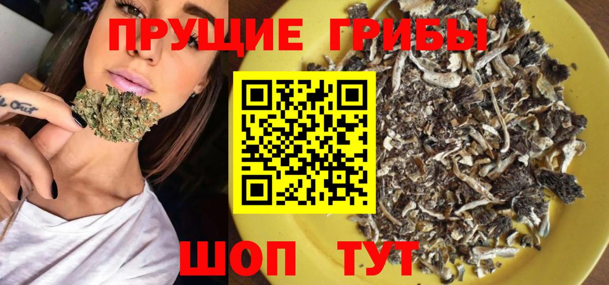Псилоцибиновые грибы MAGIC MUSHROOMS  Вход с VPN  Дзержинский 